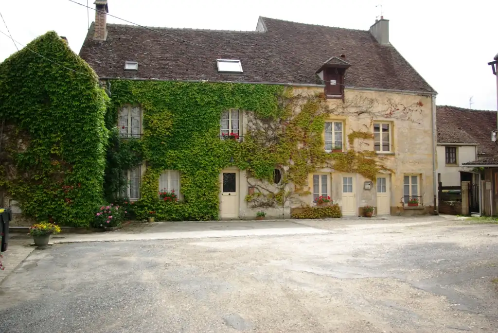 La vigne vierge