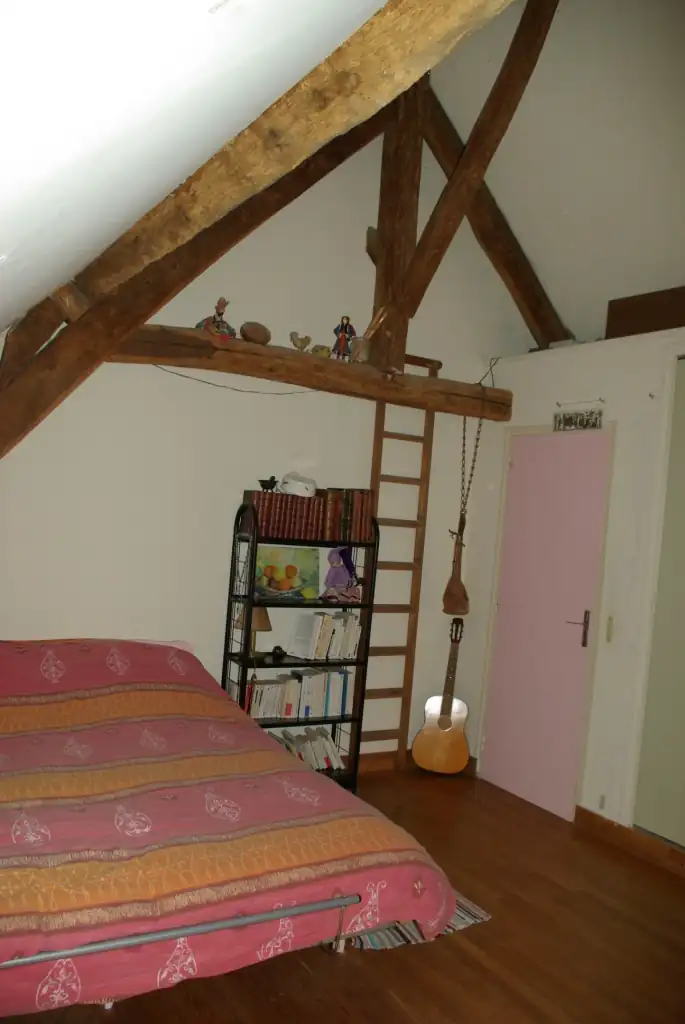 La vigne vierge