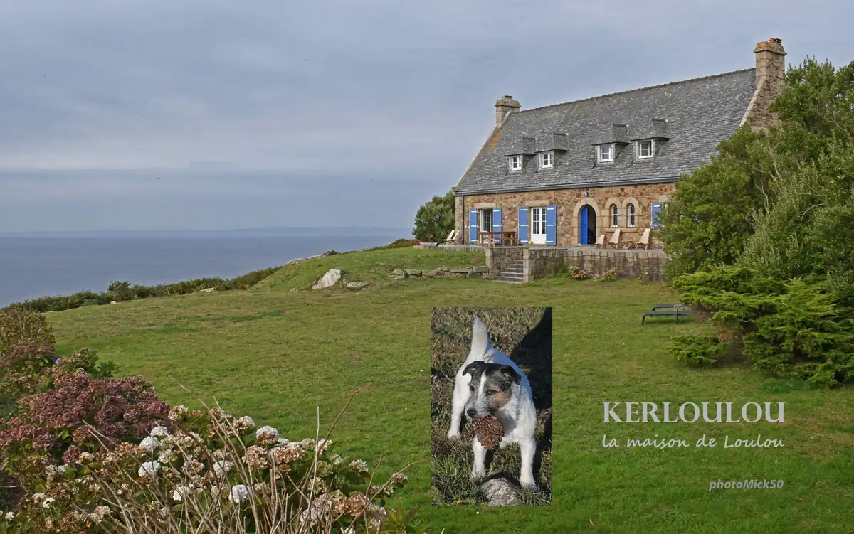 Kerloulou