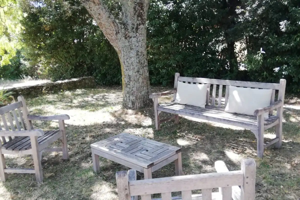 Sous les figuiers du voyageur