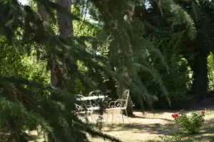 L'Aubier du Tilleul