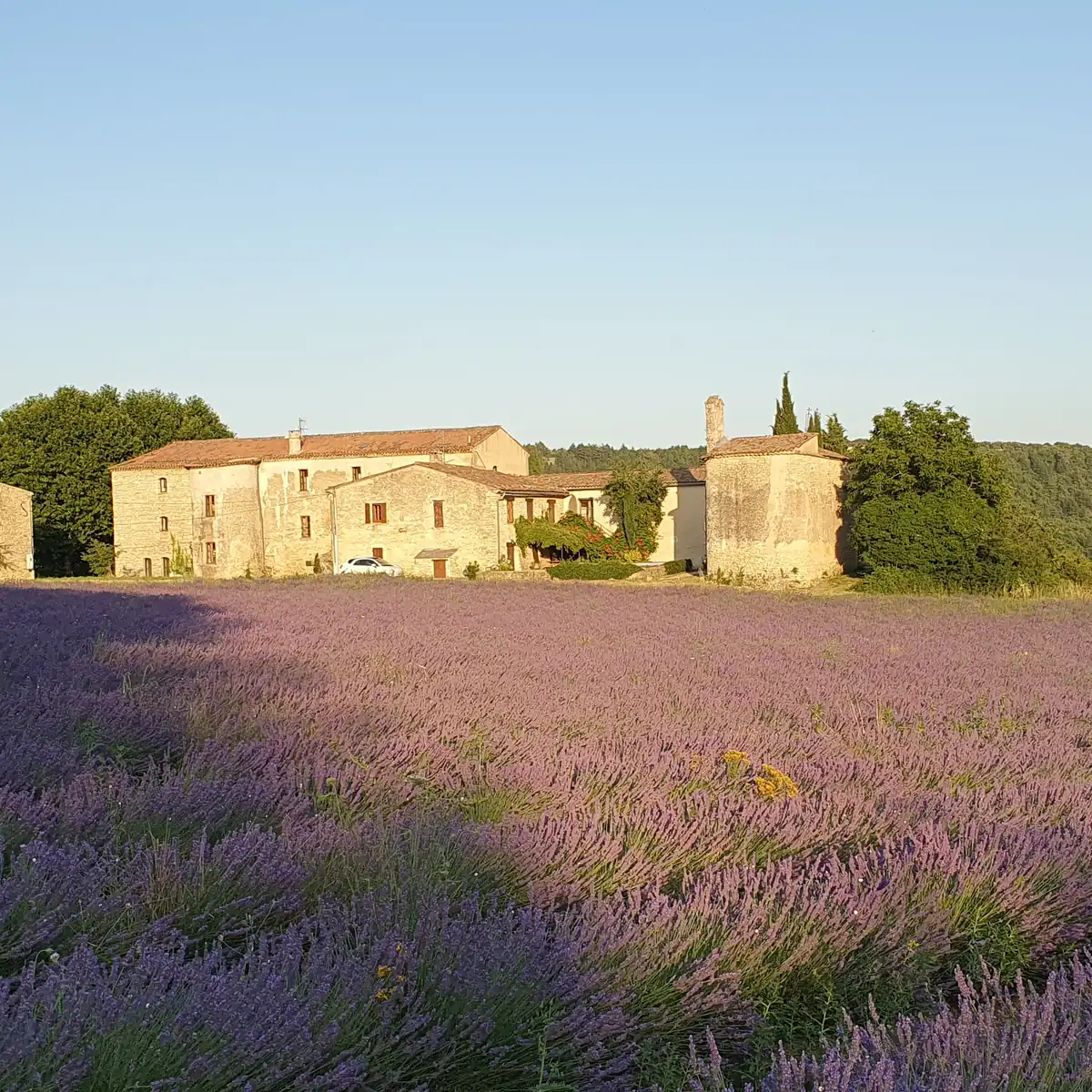 La Bastide des Lavandes — La Bastide des Lavandes