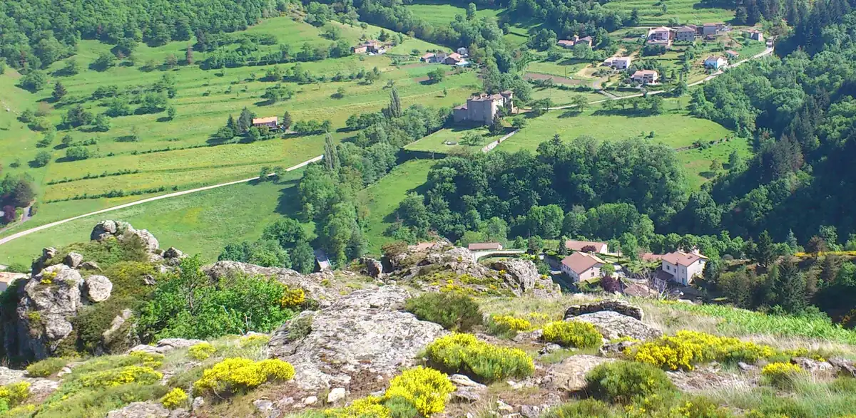 Grande maison pleine nature — Grande maison pleine nature