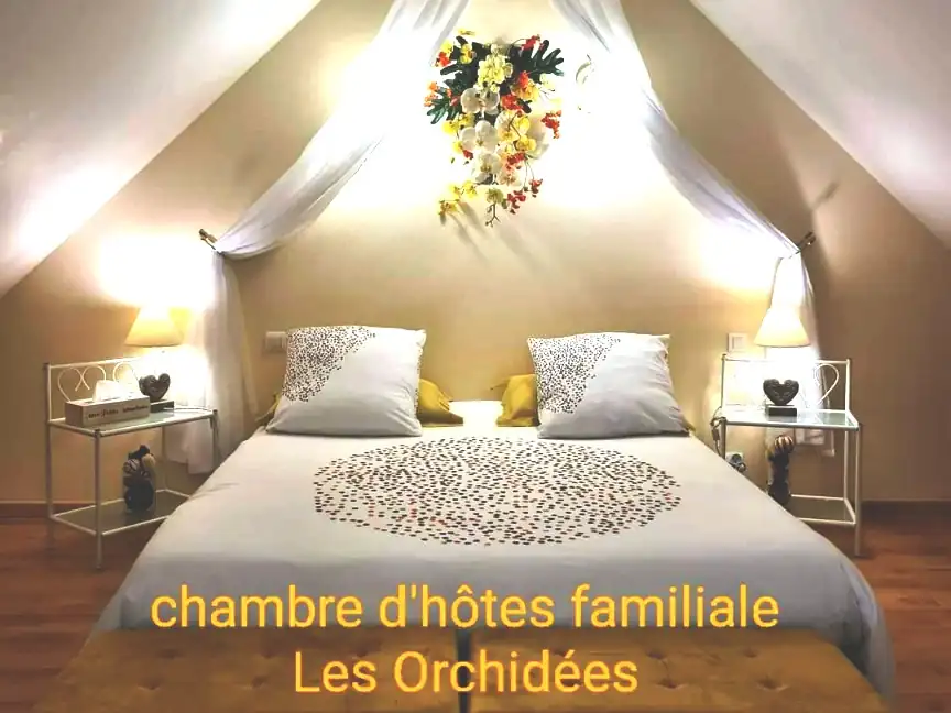 ORCHIDEES