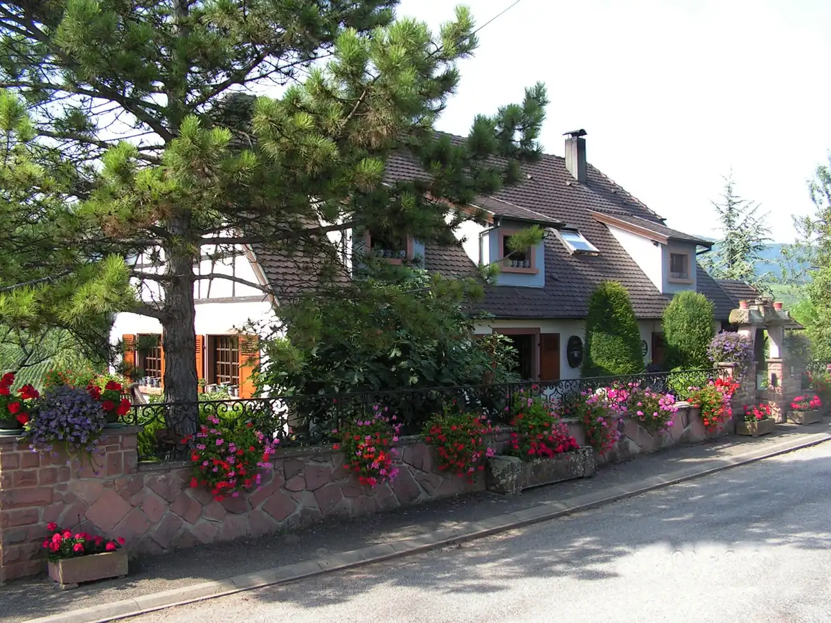 chambre Zellenberg Petits déjeuners complets compris
