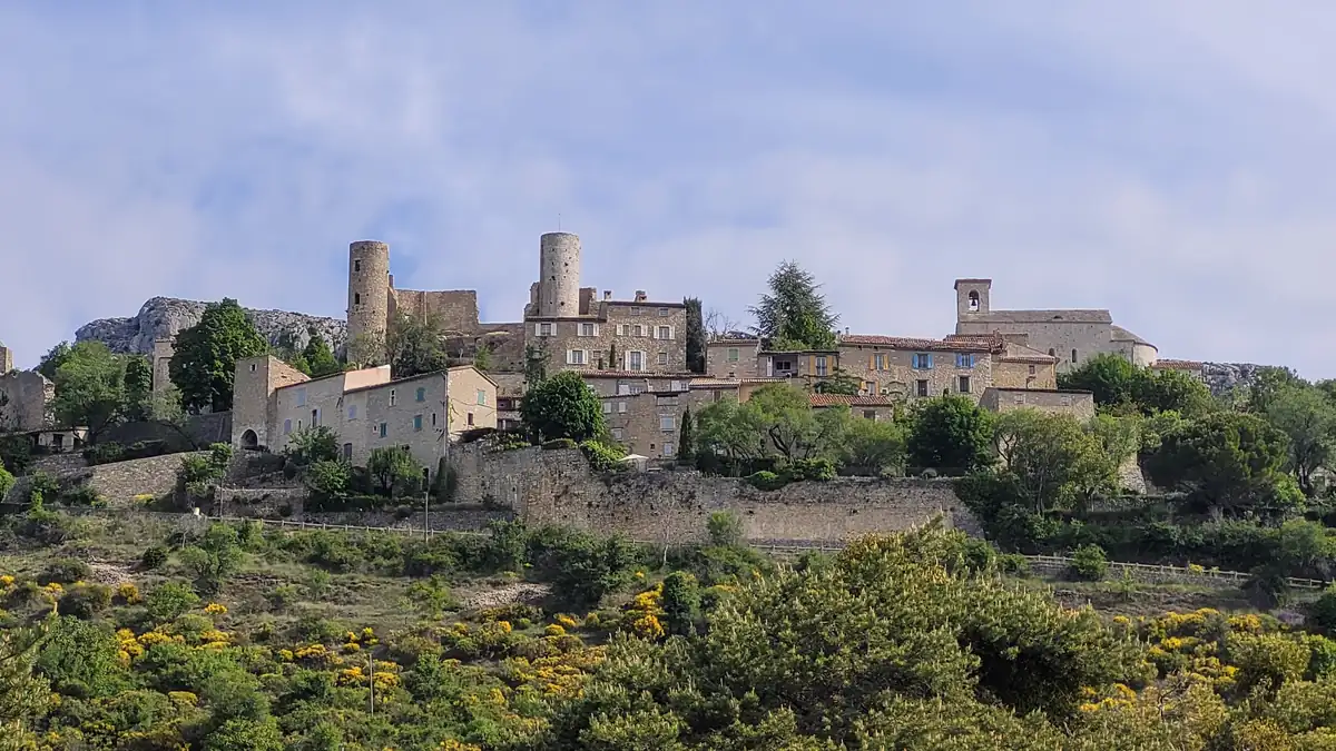Les Roses Trémières