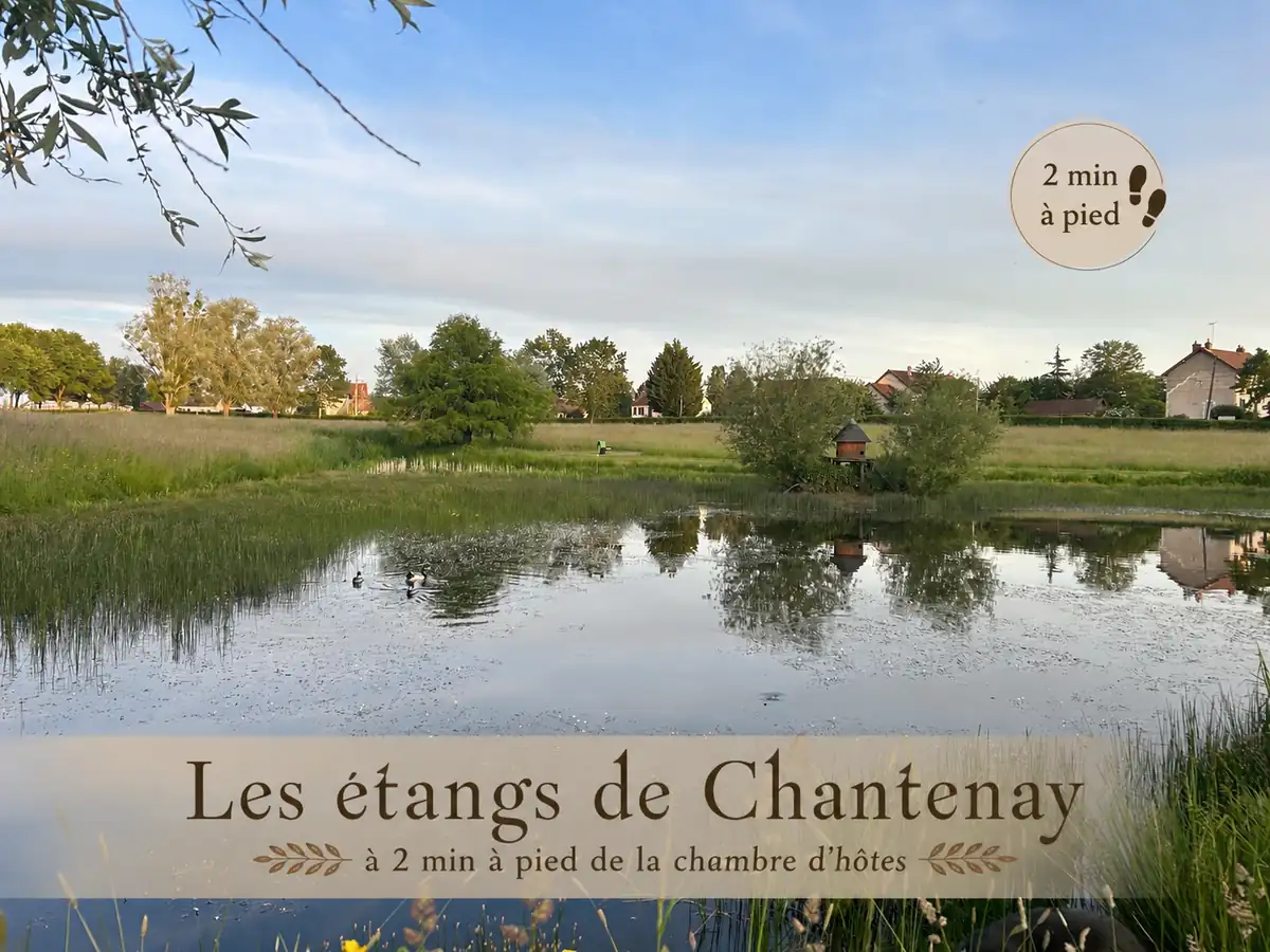 Le relais de chasse