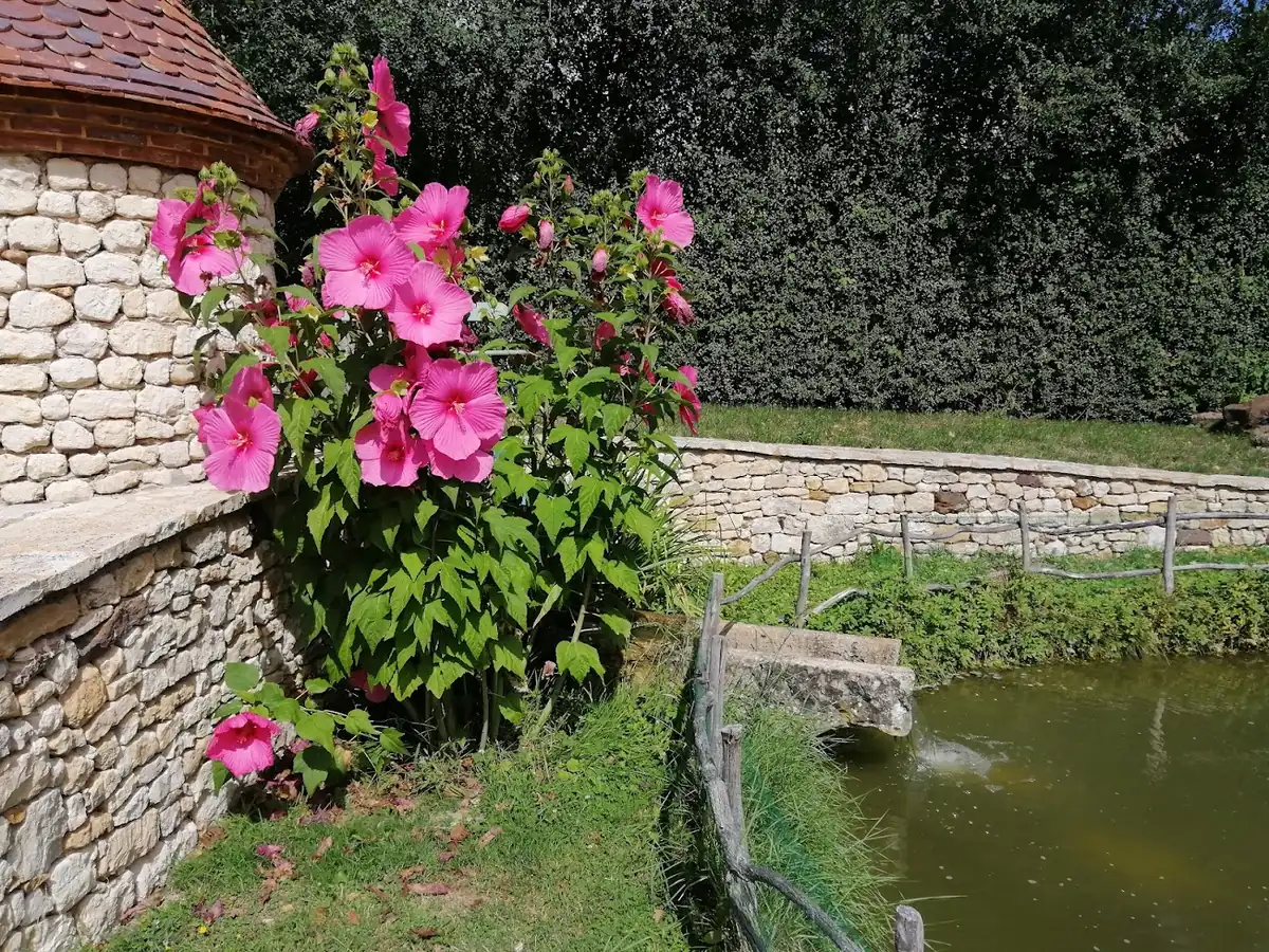 Au bord de l'Huisne