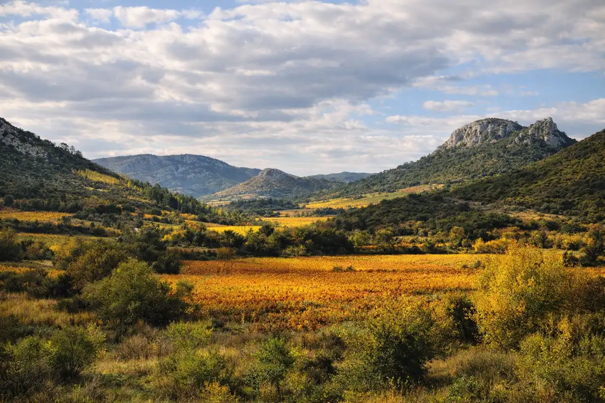 Quand visiter le Languedoc ?