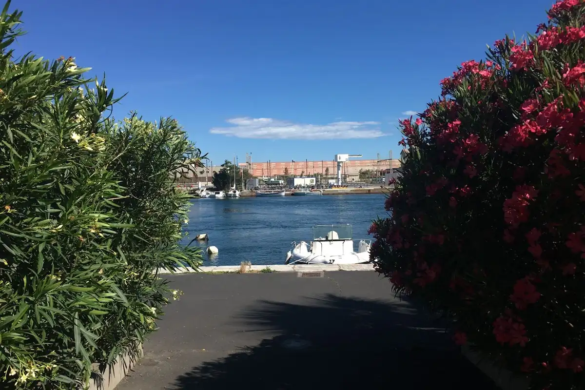 Petit port avec des bateaux, vue sur l’eau encadrée par des buissons verts et roses sous un ciel bleu clair.