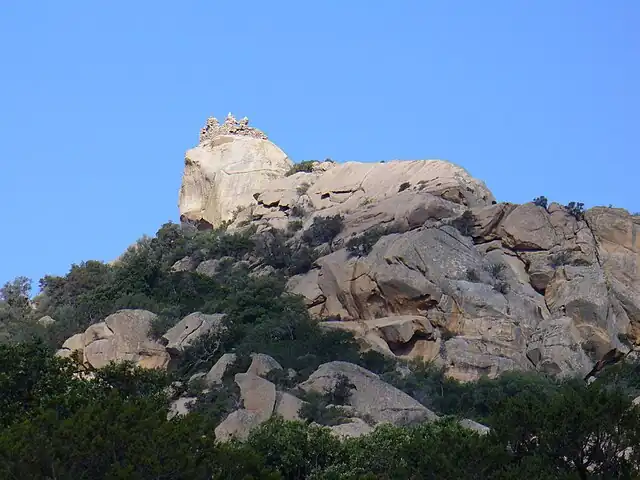 Le rocher du Lion de Roccapina émergeant du maquis corse au coucher du soleil