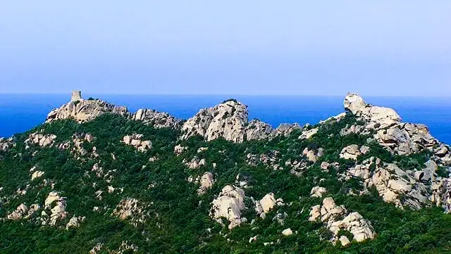 Le rocher du Lion et la tour génoise de Roccapina dominant le paysage méditerranéen