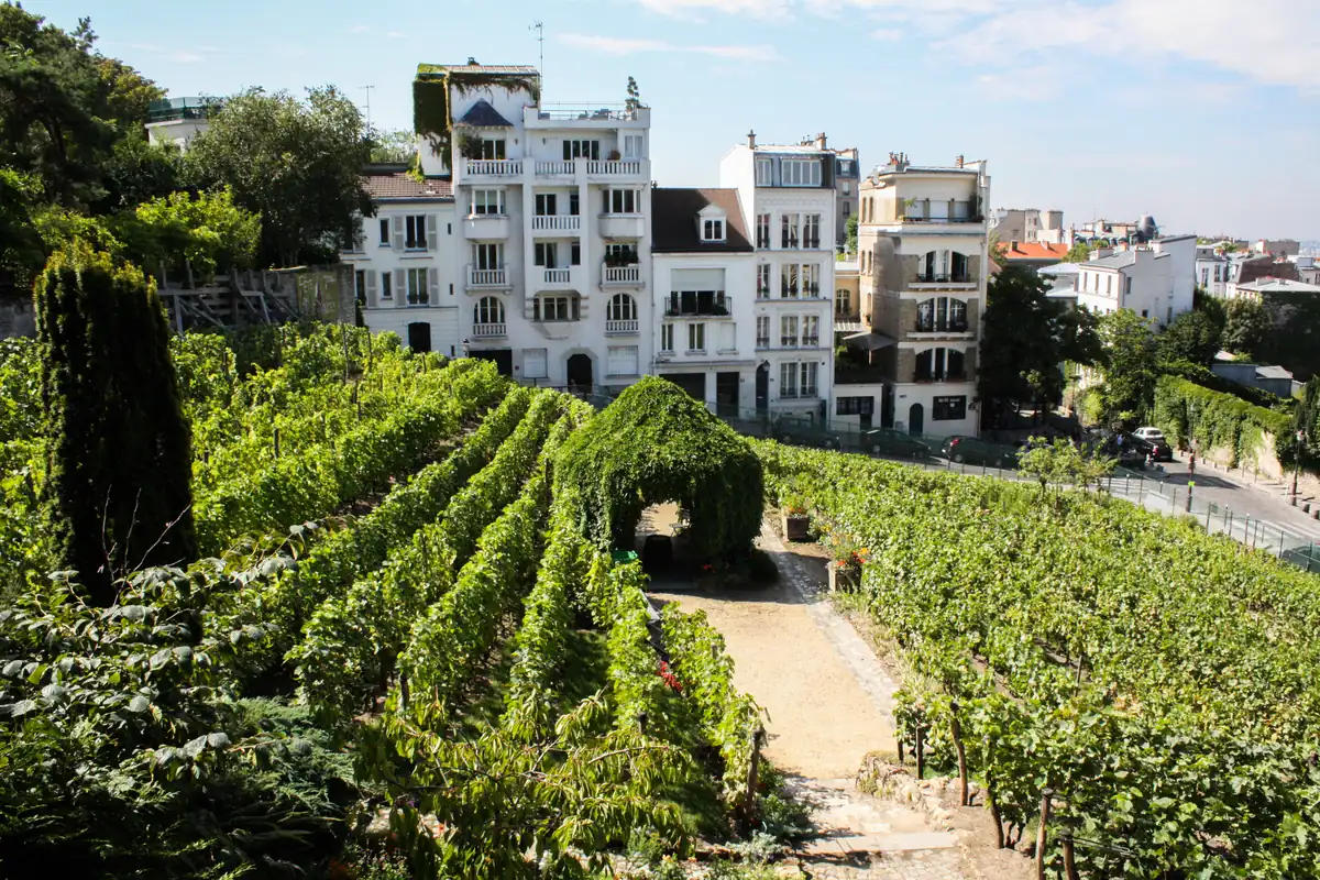 Clos Montmartre