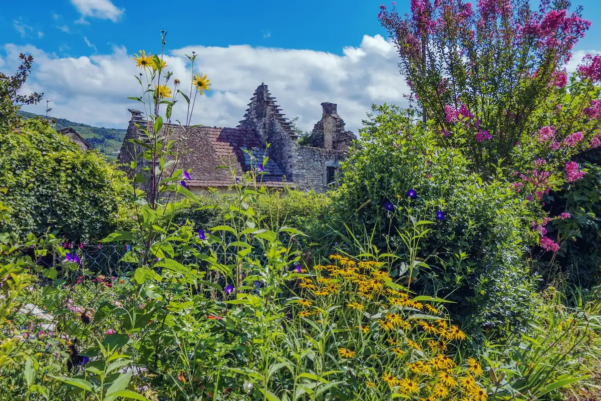 Auvergne-Rhône-Alpes