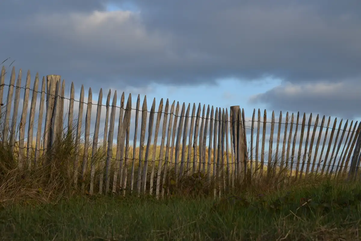 Palissade de bois dans les dunes d'Omaha Beach sous un ciel nuageux et dramatique