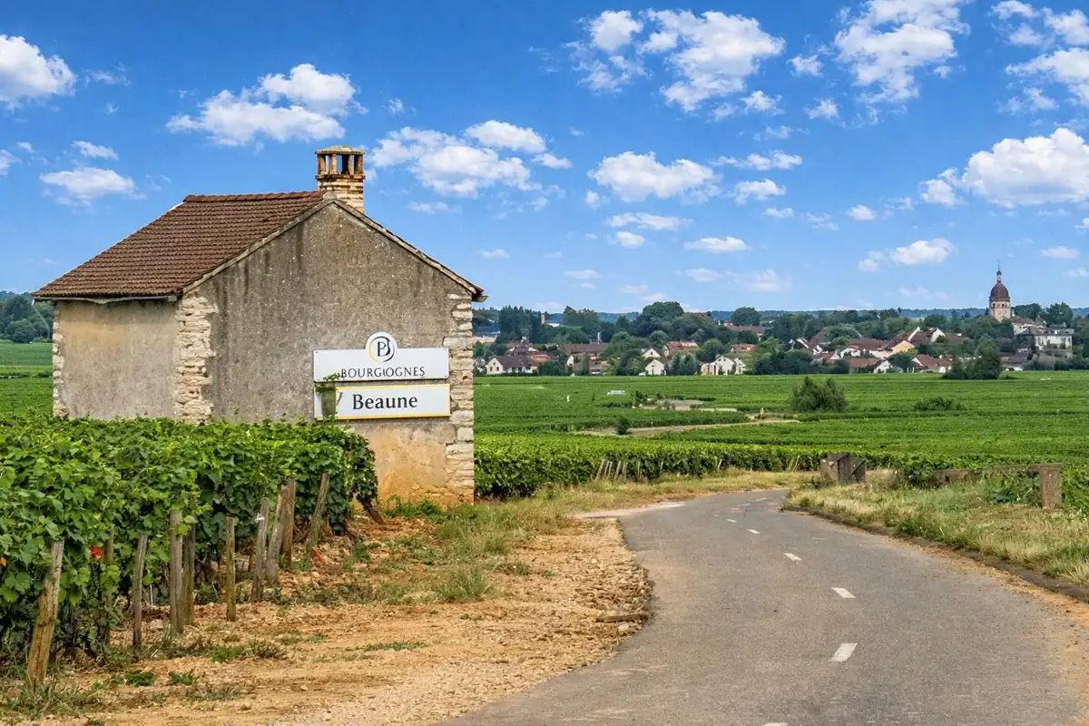 Beaune : capitale historique des vins de Bourgogne