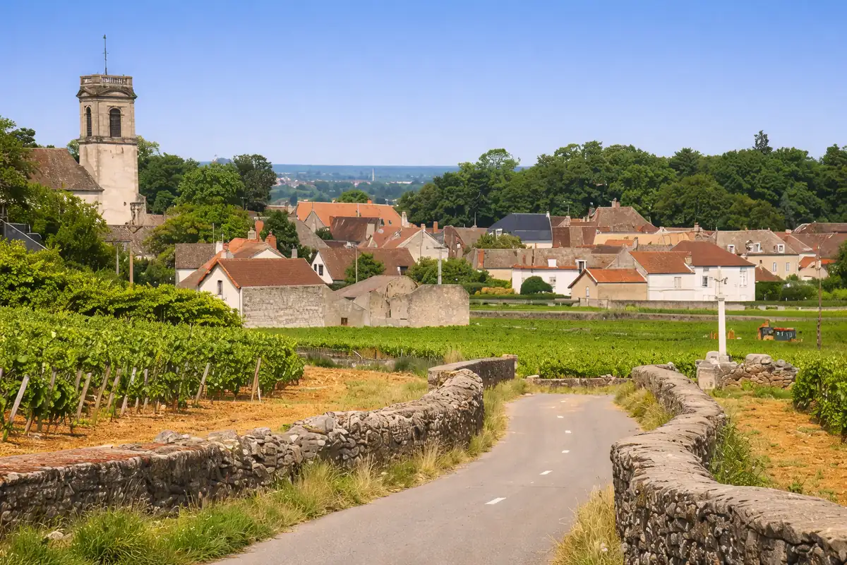 Village bourguignon avec clocher entouré de vignobles en été, chemin entre les rangs