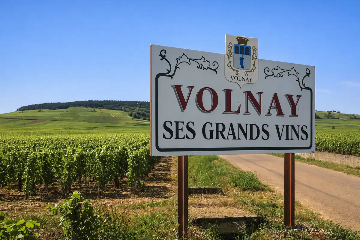 Panneau Volnay Ses Grands Vins avec vignobles et collines verdoyantes