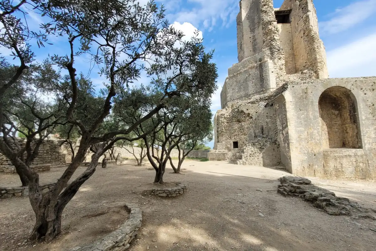 La tour Magne, vestige de l'enceinte romaine de Nîmes, dominant les Jardins de la Fontaine