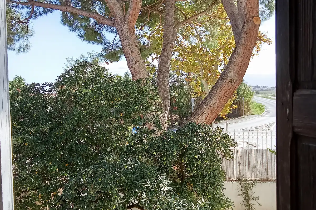 Suite avec vue sur jardin